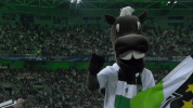 fohlenelf GIF by Borussia Mönchengladbach
