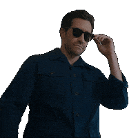 Sunglasses Sticker by Black Bear Pics
