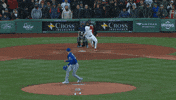 Blue Jays Baseball GIF by Toronto Blue Jays