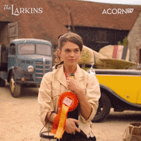 The Larkins GIF by Acorn TV