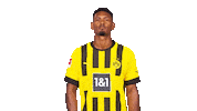 No Way Football Sticker by Bundesliga