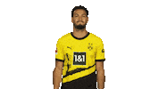 No Way Football Sticker by Bundesliga