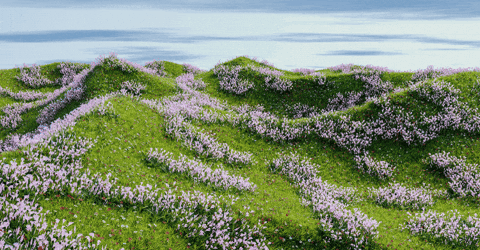 melissamabe giphygifmaker giphyattribution GIF