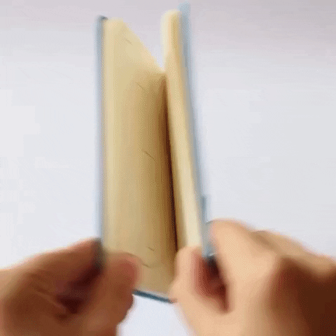 book butterfly GIF by cintascotch