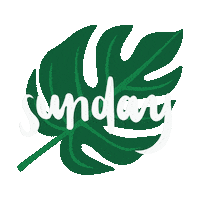 Happy Sunday Hello Sticker