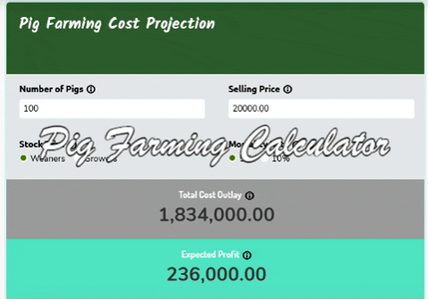 kmacims giphygifmaker startup cost for business startup cost for business calculator startup calculator GIF