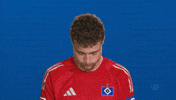 Look Up Hamburger Sv GIF by Bundesliga