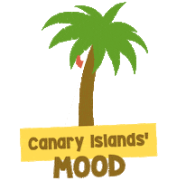 Travel Viajar Sticker by Canary Islands