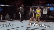 Sport GIF by UFC