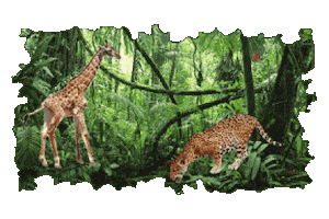 Forest Trees Sticker