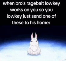 bomb_cat rezero ragebait snowbunny rezeromeme GIF