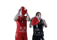 Sport Volleyball Sticker by LP Viesti