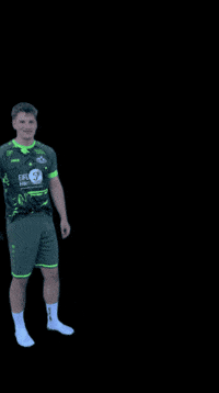 sgvulkaneifel2018 sgvulkaneifel GIF