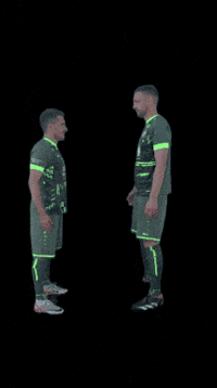 sgvulkaneifel2018 sgvulkaneifel GIF