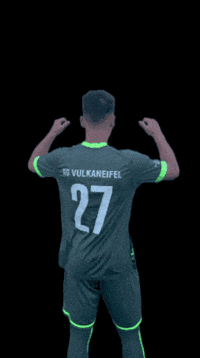 sgvulkaneifel2018 sgvulkaneifel GIF