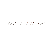 B Sticker by Brother Models