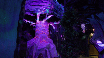 meowwolf meow wolf meowwolf meow wolf santa fe house of eternal return GIF