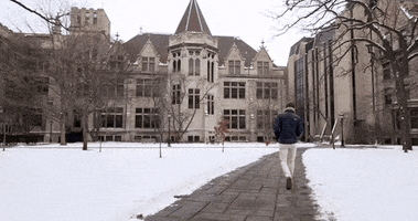 winter GIF by The University of Chicago