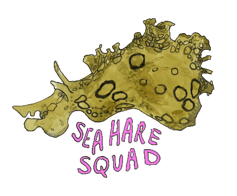 sargassogirl giphyupload Sticker