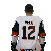 Hokej Vela Sticker by HC '05 Banská Bystrica