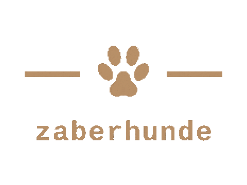 Hunde Sticker by jasminhoffmann