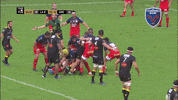 fc grenoble course GIF by FCG Rugby
