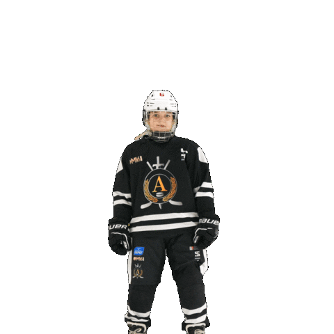 alfahockey giphyupload хоккей хоккеист альфа Sticker