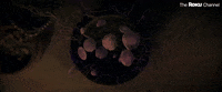 104 GIF by The Roku Channel