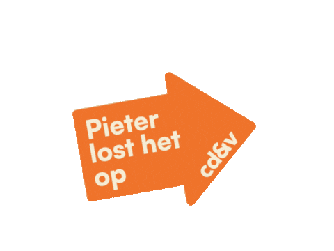 Bridgeneers giphyupload cdv pieterlosthetop cdvantwerpen Sticker