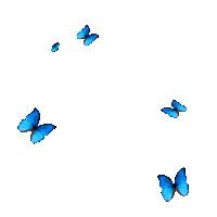 Butterflies Sticker by KISTERSS