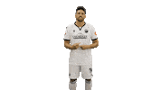 Tim Kister Bundesliga Sticker by SV Sandhausen
