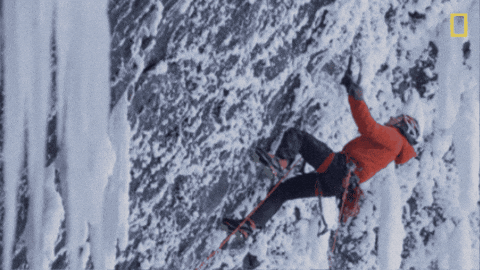 aleoxth giphygifmaker GIF