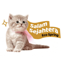 Cat Hello GIF by Eco Spring  at Iskandar Malaysia