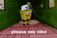 Kentucky Wildcats Spongebob GIF