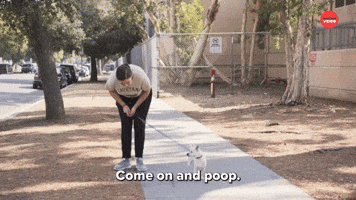 Just Poop