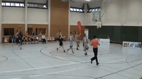 sgk-basketball giphygifmaker basketball verein heidelberg GIF
