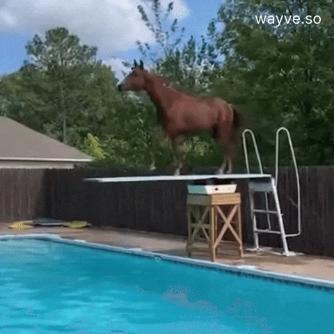 Mood Friday GIF by Darwin