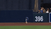 Celebrate Tampa Bay Rays GIF by MLB