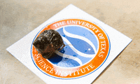 Crab Institute GIF by College of Natural Sciences, UT Austin