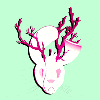 hop hop smh GIF by Sarah Schmidt