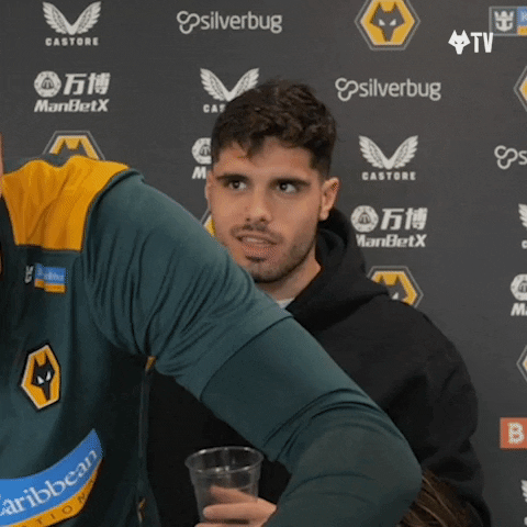 Premier League Football GIF by Wolves