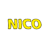 NicoEurope nico silvester pyro feuerwerk Sticker