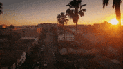 ZachBrandon vibes california la sunset GIF