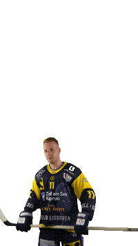 Zellamsee Ekz Sticker by EK Zeller Eisbären