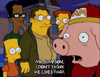season 5 episode 3 GIF