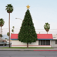echo_echo_studio christmas ai holidays california GIF
