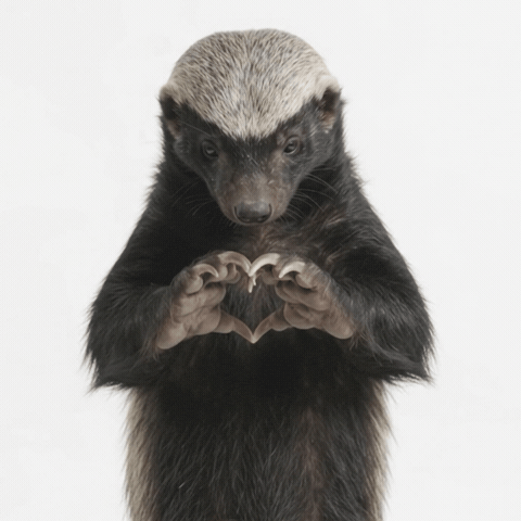 smartoperator giphyupload honey badger smart operator GIF