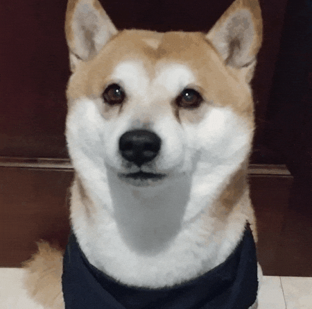 cheeks GIF
