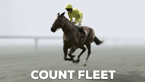 Horse Racing GIF by Kentucky Derby