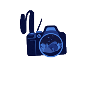 Photography New Post Sticker by Ela | Flyaway Images